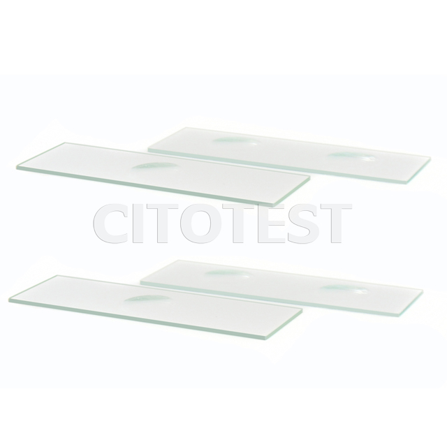 Microscope Slides with Cavity