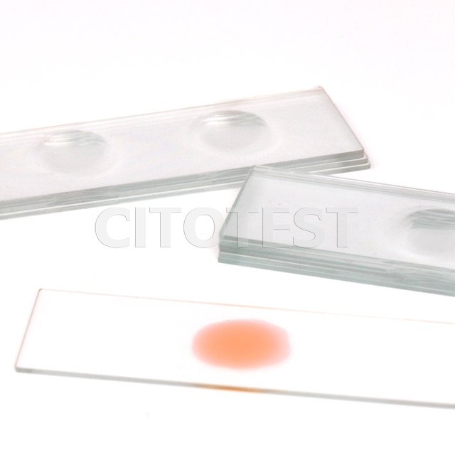 Microscope Slides with Cavity